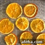 slices of dehydrated citrus