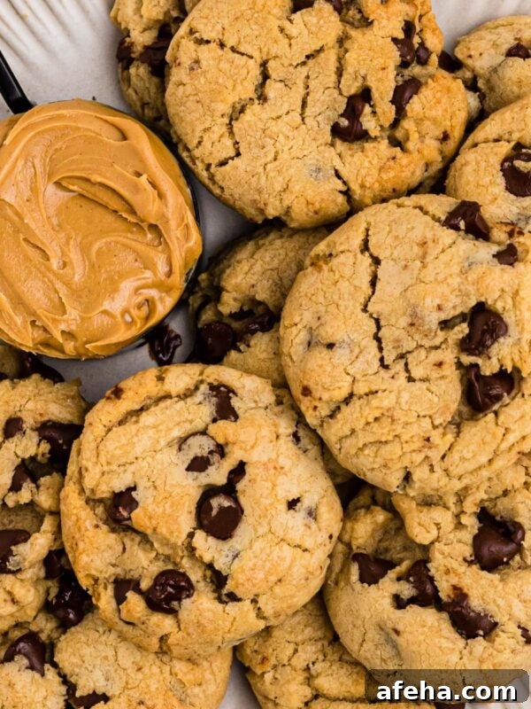 Peanut butter chocolate chip cookies on a white plate with a scoop of peanut butter next the cookies.