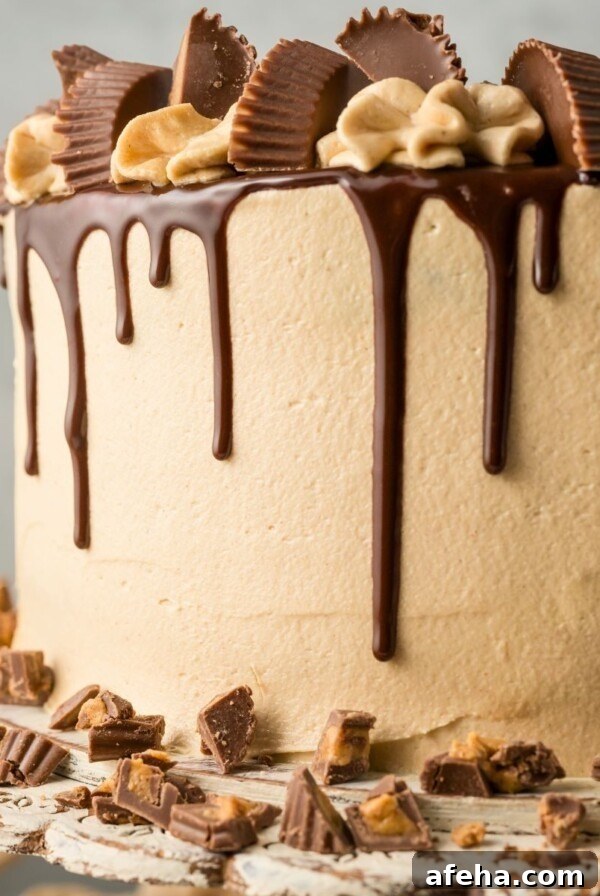 Chocolate cake covered in peanut butter frosting with a chocolate ganache drizzle down the sides.