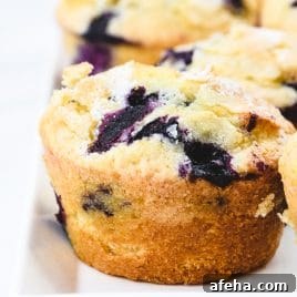 Blueberry muffins on a platter.