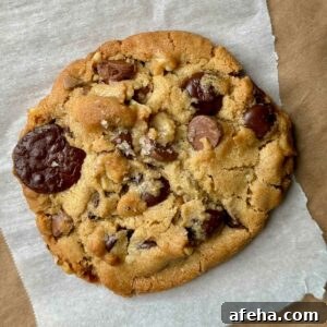 Kirkland Mixed Nut Butter Chocolate Chunk Cookie Recipe 3 Chocolate Chunk Cookies with Nut Butter or Kirkland Nut Butter with Seeds