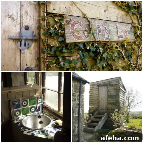 A wild food cooking course at Fat Hen in Cornwall