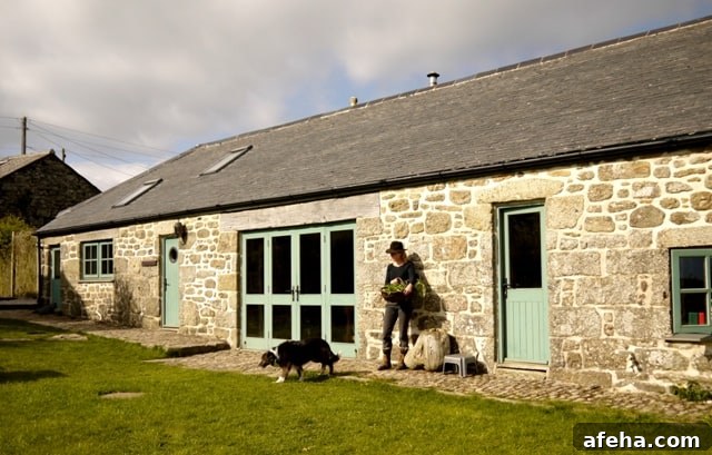Fat Hen Wild Food Cookery School