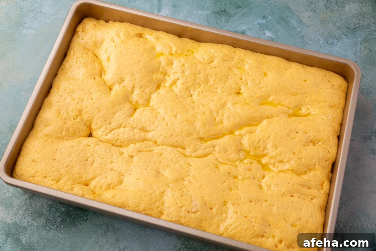 Pumpkin focaccia dough risen and fluffy in the pan before baking.