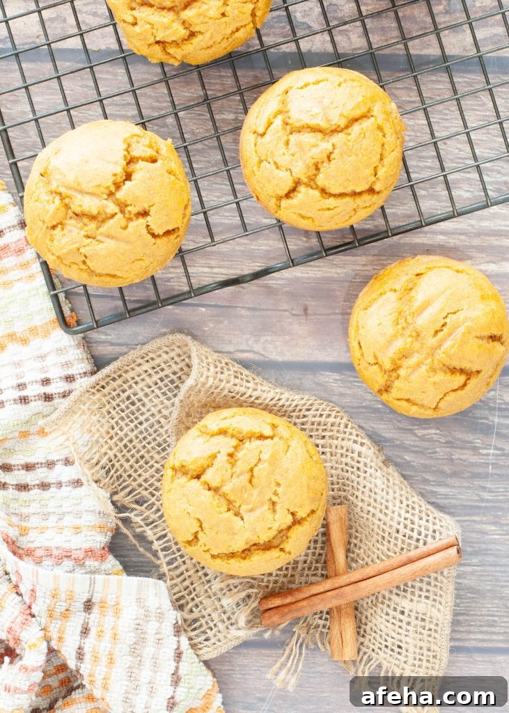 Gluten-Free Pumpkin Muffins (Dairy-Free) + Step-by-Step Video 3 four-gluten-free-pumpkin-muffins-from-overhead