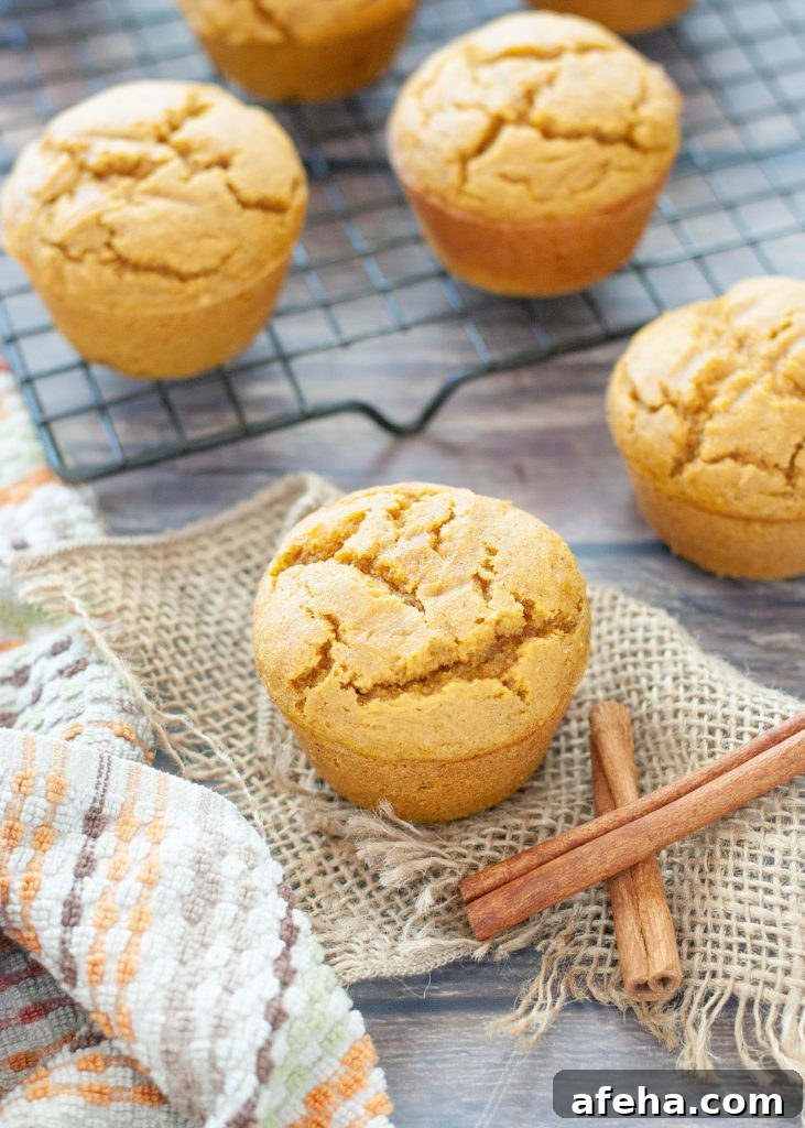 Gluten-Free Pumpkin Muffins (Dairy-Free) + Step-by-Step Video 7 gluten-free-pumpkin-muffins-next-to-cinnamon-sticks