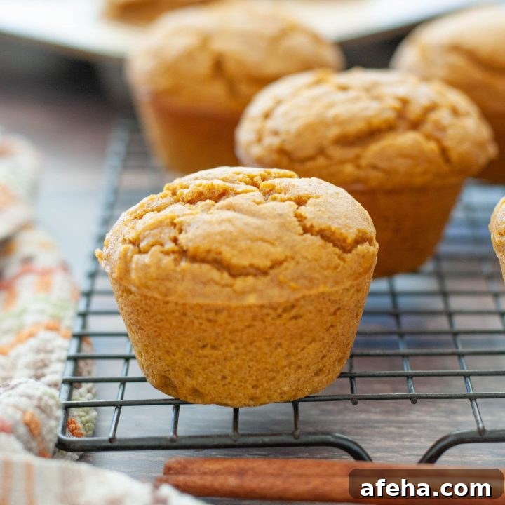 gluten-free-pumpkin-muffins-with-cinnamon-sticks-on-a-cooling-rack
