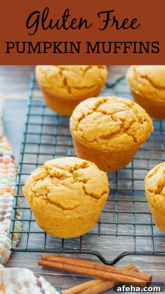 Gluten-Free Pumpkin Muffins (Dairy-Free) + Step-by-Step Video 10 gluten-free-pumpkin-muffin-recipe-by-allergy-awesomeness-pinterest-pin