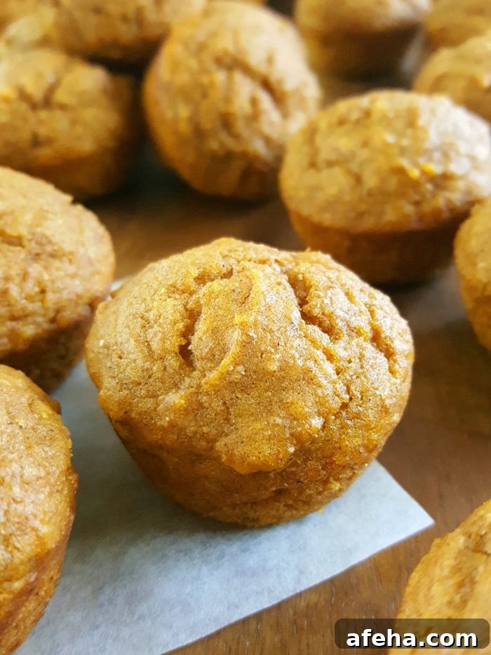 Mini Healthy Pumpkin Muffins for Kids! - Moist, dairy-free mini pumpkin muffins made with oil, whole wheat flour, brown sugar, & natural sweetener. Easy to make, healthy & delicious, & the perfect size for little hands.