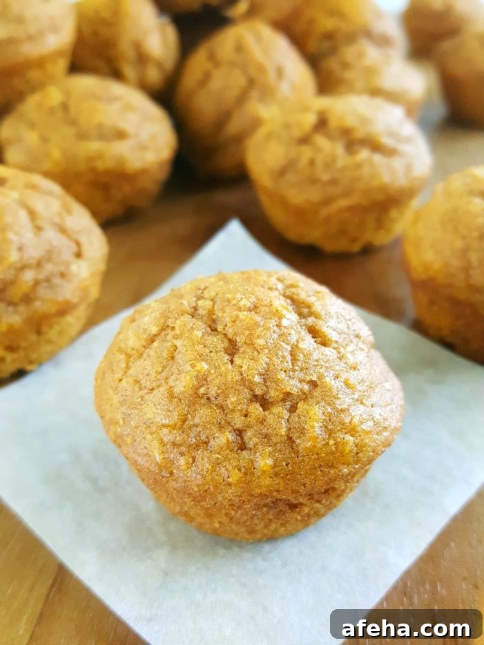 Mini Healthy Pumpkin Muffins for Kids! - Moist, dairy-free mini pumpkin muffins made with oil, whole wheat flour, brown sugar, & natural sweetener. Easy to make, healthy & delicious, & the perfect size for little hands.
