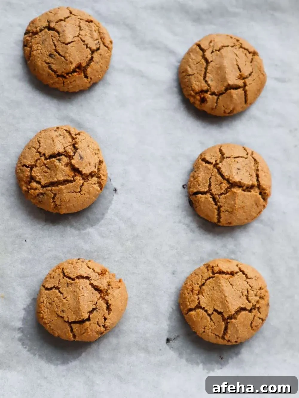 Shaped oatmeal cookies ready for the oven
