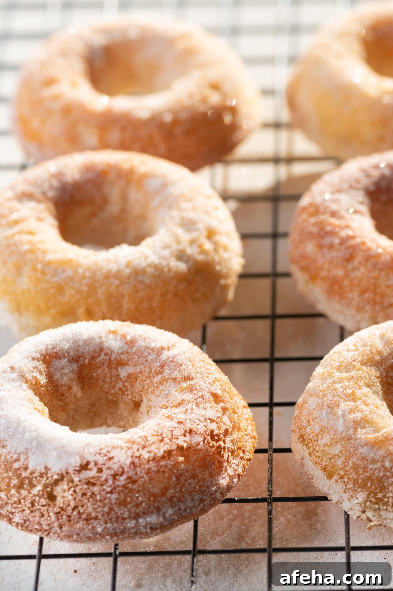 Gluten free donuts cooling on a black wire rack. 