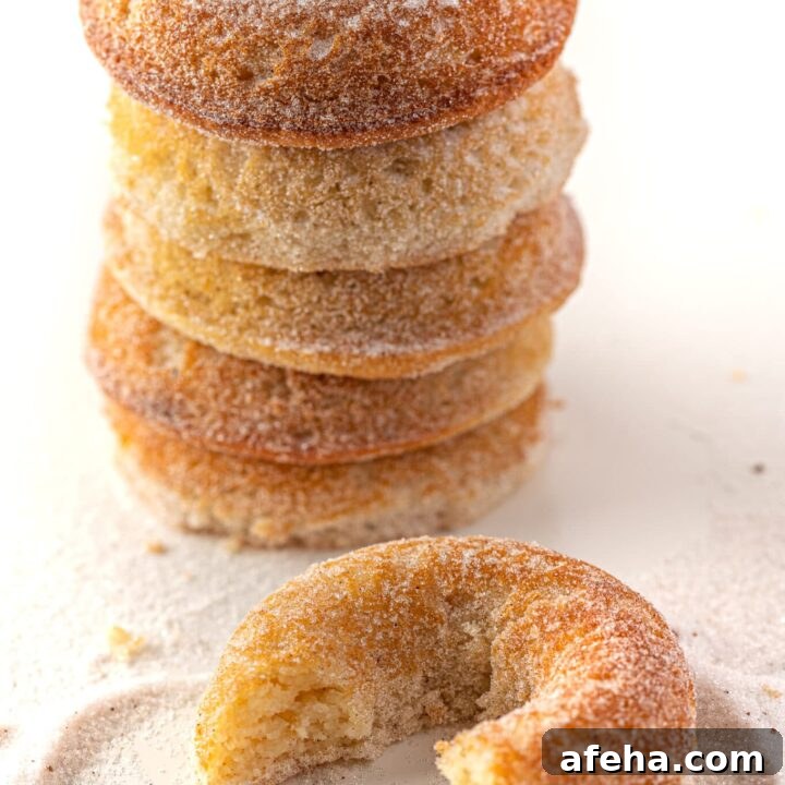 Delicious Keto Dunkin Donuts CopyCat Recipe