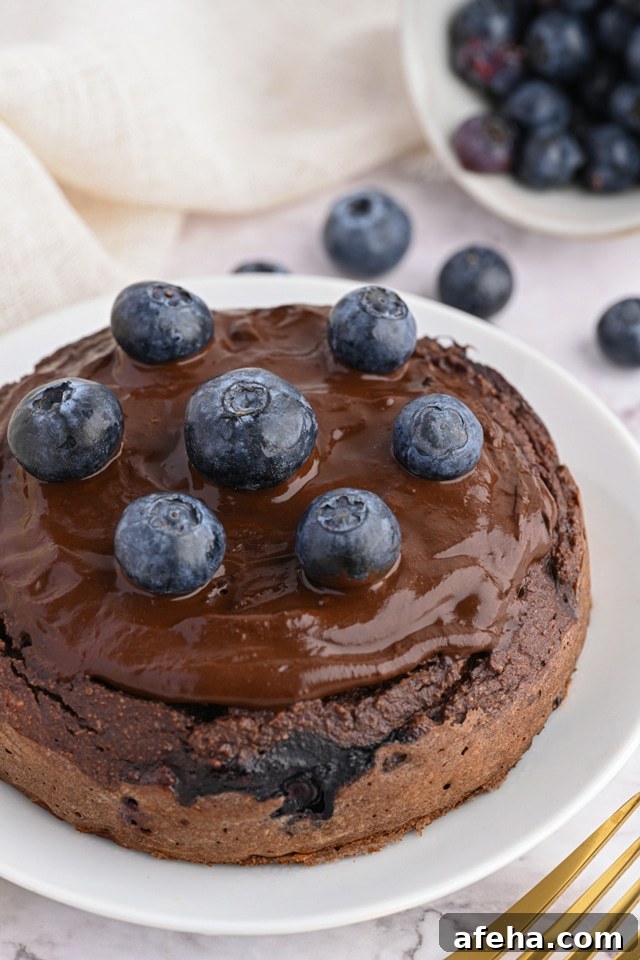 keto protein chocolate cake