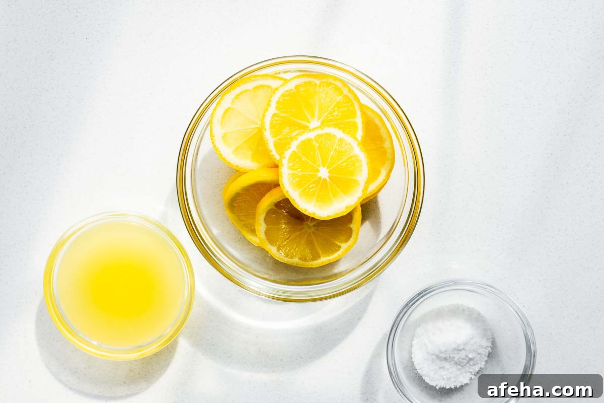 Lemon slices in a glass bowl in direct sunlight viewed from above. Two smaller glass bowls contain lemon juice and salt.
