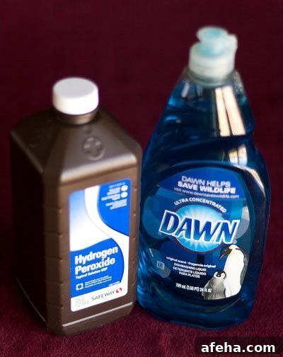 hydrogen peroxide and dawn: cleaning products